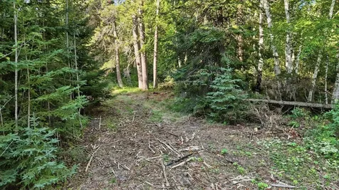 34488 Clearwater Road Grand Rapids MN 55744