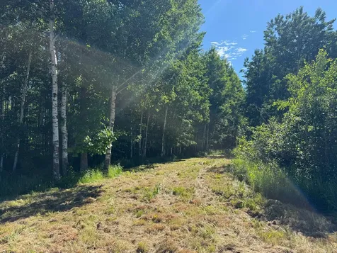 2359 County Road 8 Holyoke MN 55749