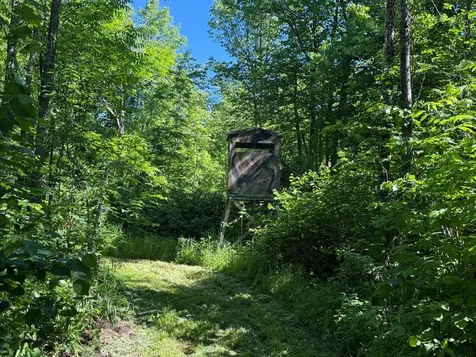 2359 County Road 8 Holyoke MN 55749