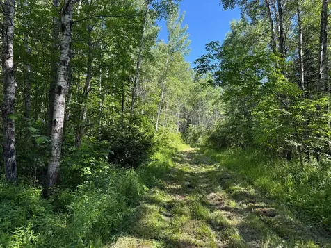 2359 County Road 8 Holyoke MN 55749