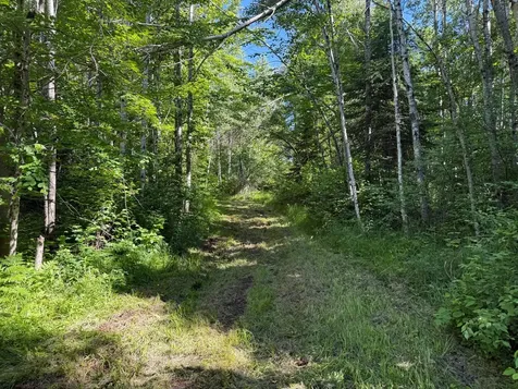 2359 County Road 8 Holyoke MN 55749