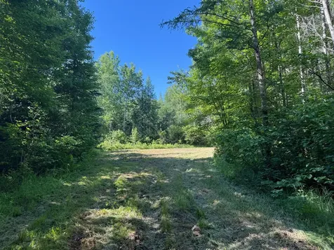 2359 County Road 8 Holyoke MN 55749