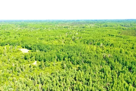 2359 County Road 8 Holyoke MN 55749