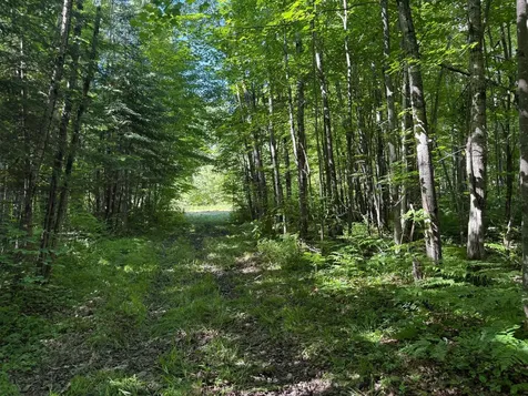 2359 County Road 8 Holyoke MN 55749