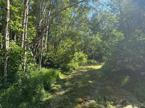 2359 County Road 8 Holyoke MN 55749