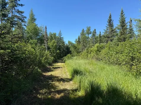 2359 County Road 8 Holyoke MN 55749