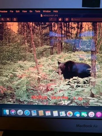 2359 County Road 8 Holyoke MN 55749