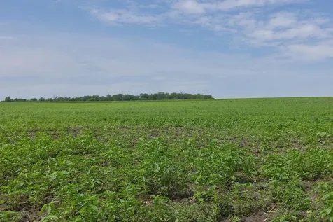 TBD2 Ingram Avenue SW Howard Lake MN 55349