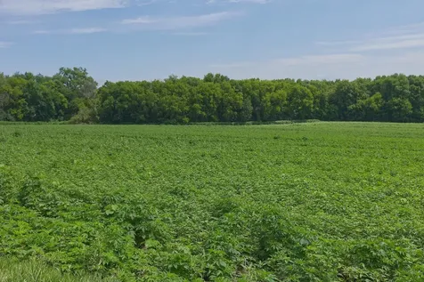 TBD2 Ingram Avenue SW Howard Lake MN 55349