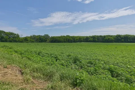 TBD2 Ingram Avenue SW Howard Lake MN 55349