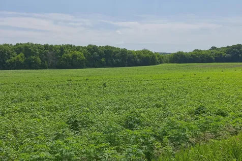 TBD2 Ingram Avenue SW Howard Lake MN 55349