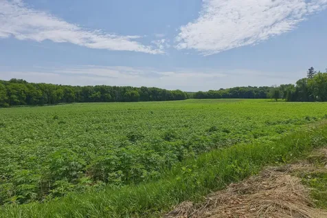 TBD2 Ingram Avenue SW Howard Lake MN 55349
