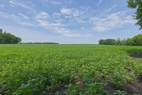 TBD2 Ingram Avenue SW Howard Lake MN 55349