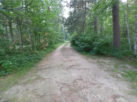 40 Dodder Lane SW Pequot Lakes MN 56472