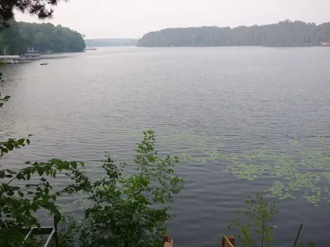 40 Dodder Lane SW Pequot Lakes MN 56472