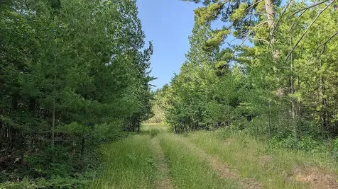 7952 Highway 24 Orr MN 55771