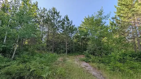 7952 Highway 24 Orr MN 55771