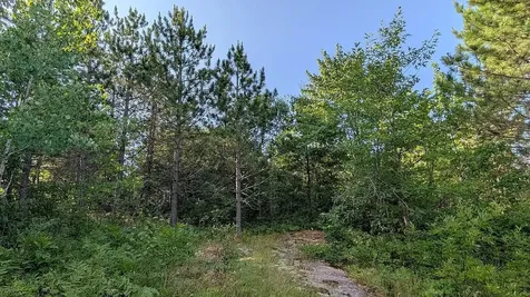 7952 Highway 24 Orr MN 55771
