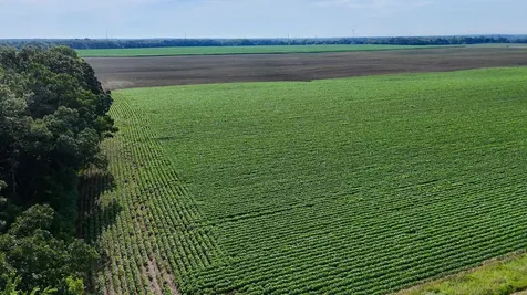 Tbd County Road 7 Saint Augusta MN 56301