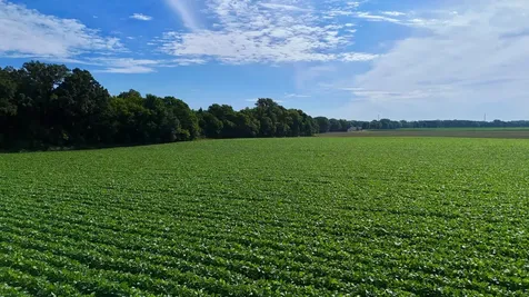Tbd County Road 7 Saint Augusta MN 56301