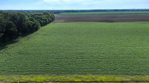 Tbd County Road 7 Saint Augusta MN 56301