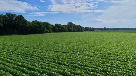 Tbd County Road 7 Saint Augusta MN 56301