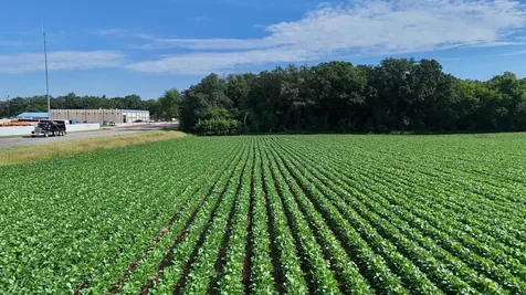 Tbd County Road 7 Saint Augusta MN 56301