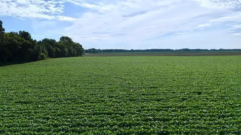 Tbd County Road 7 Saint Augusta MN 56301