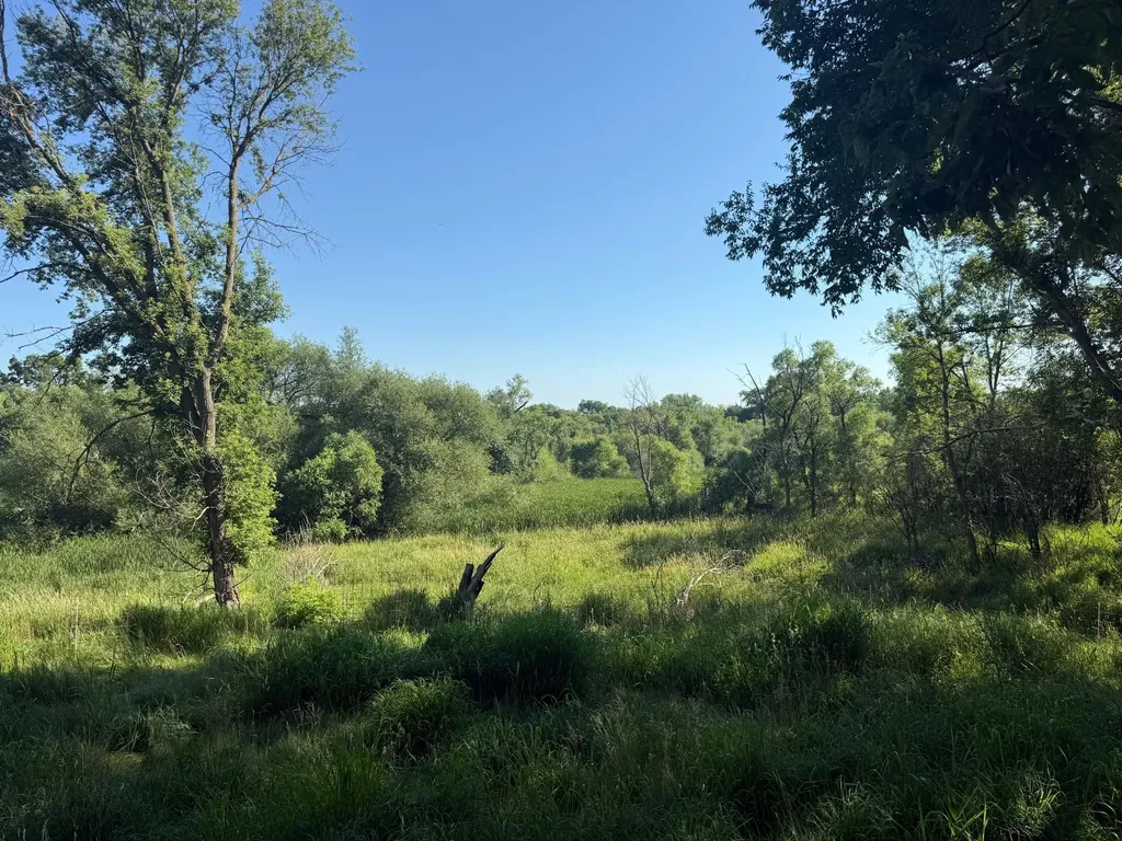 130 10th Avenue NW Glenwood MN 56334