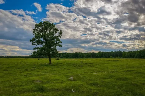 320TH 320th Shevlin MN 56676