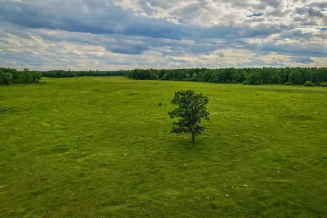320TH 320th Shevlin MN 56676