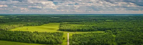 320TH 320th Shevlin MN 56676
