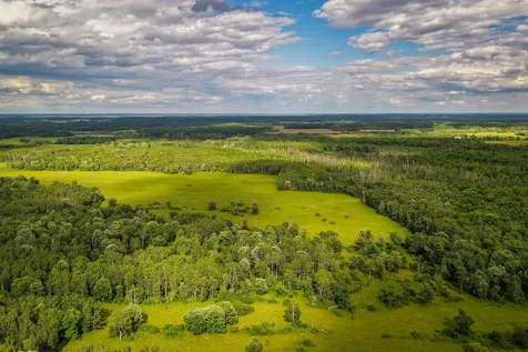 320TH 320th Shevlin MN 56676