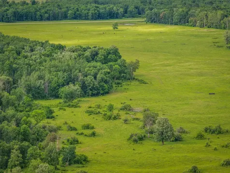320TH 320th Shevlin MN 56676