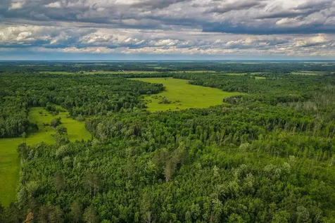 320TH 320th Shevlin MN 56676
