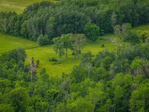320TH 320th Shevlin MN 56676
