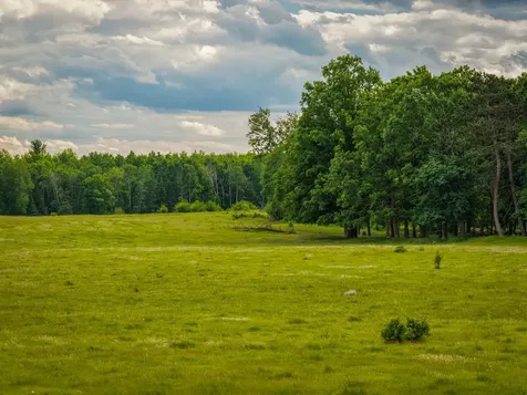 320TH 320th Shevlin MN 56676