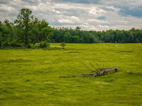 320TH 320th Shevlin MN 56676