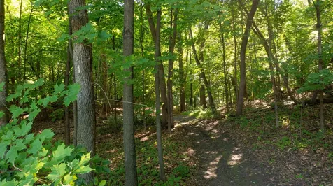 1625 Blackfoot Trail Medina MN 55356