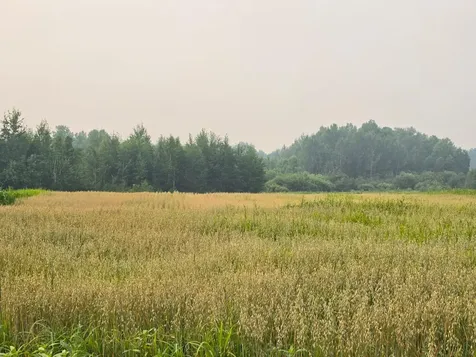 32438 Beaver Claw Road Brook Park MN 55007