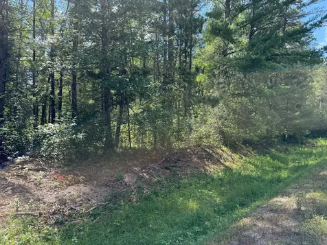 28393 County 93 Laporte MN 56461