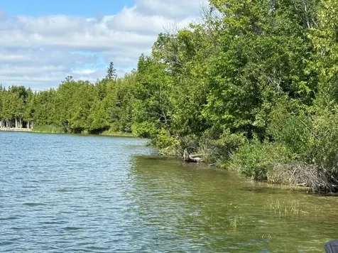 28393 County 93 Laporte MN 56461