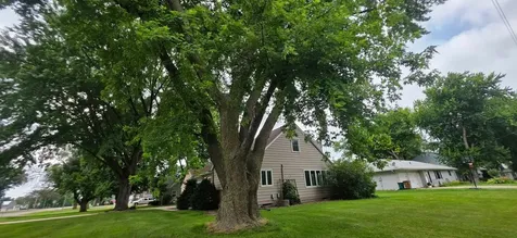 107 Park Avenue E Hollandale MN 56045