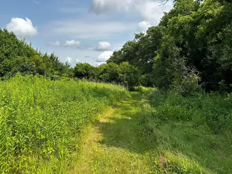 52404 320th Street Blooming Prairie MN 55917