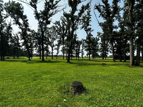 52404 320th Street Blooming Prairie MN 55917