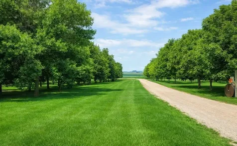 39243 561st Avenue New Ulm MN 56073