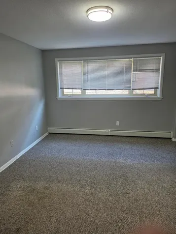 4445 Chowen Avenue S Minneapolis MN 55410