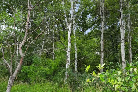 Tbd 350th Street Shafer MN 55074