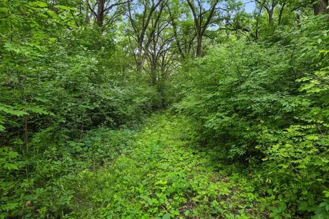 Tbd 350th Street Shafer MN 55074