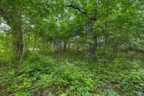Tbd 350th Street Shafer MN 55074